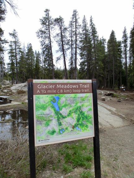 Glacier Meadows Trial