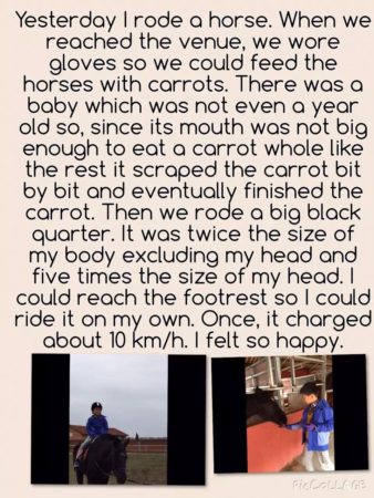 Kids horse riding article